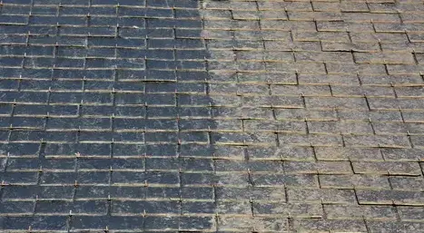 ramonage Domagné-1